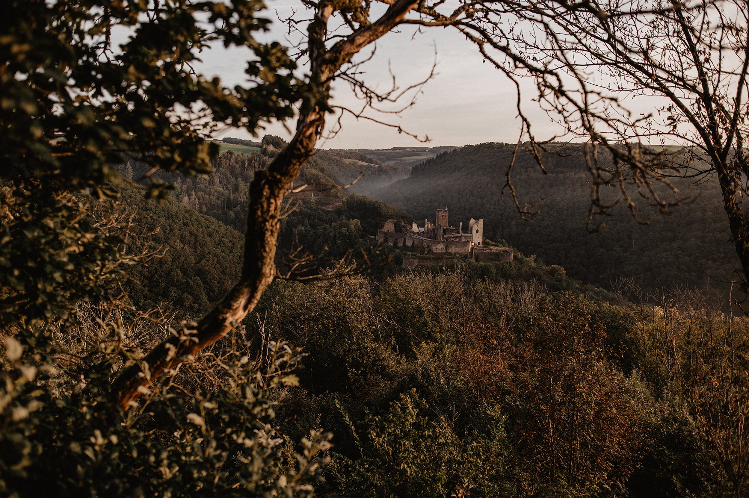 Sur un sentier de randonnée à Vianden, il y a un point de vue dans la forêt. De ce point, on peut voir le château de Vianden. La photo a été prise au coucher du soleil.