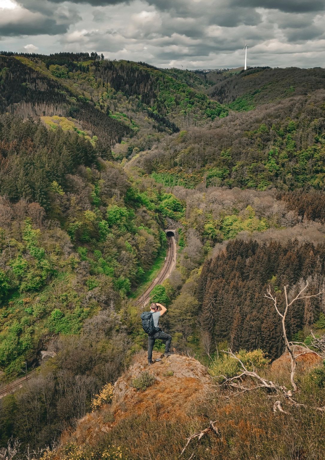 Un homme se tient sur une colline le long de l’Éislek Pad Kautebaach et contemple la forêt avec une vue panoramique spectaculaire.