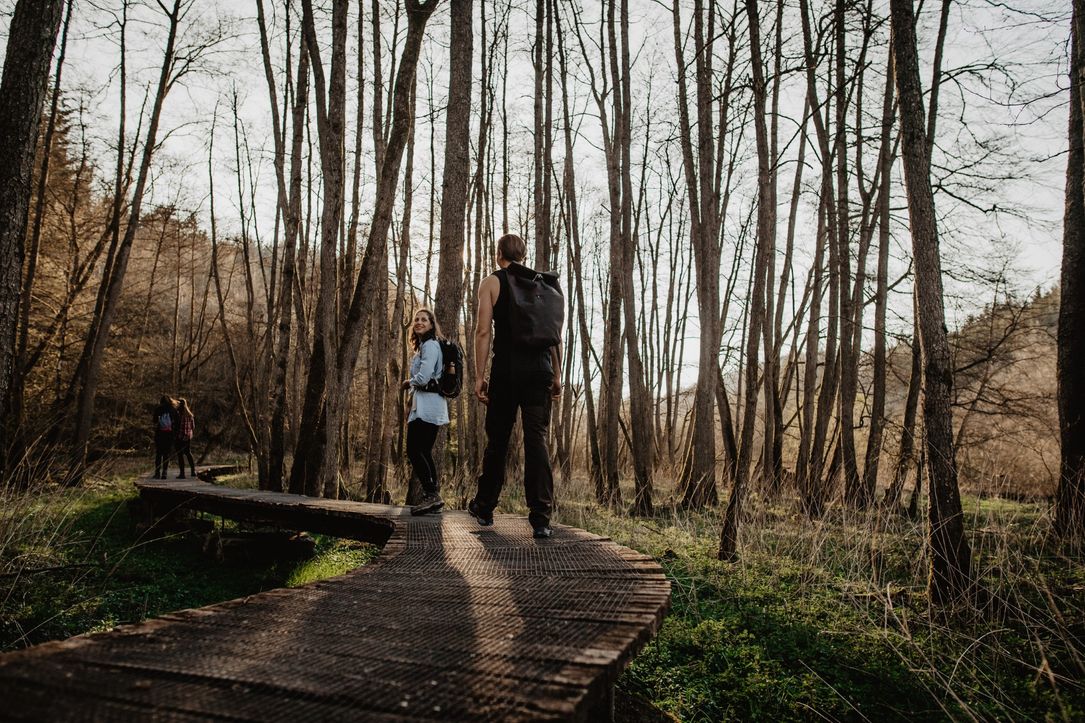 Unberührte Natur erleben – der NaturPur?-Rundgang in Boulaide führt durch eine abwechslungsreiche und naturnahe Landschaft.