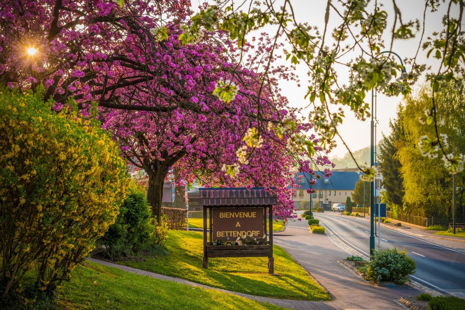 Bettendorf