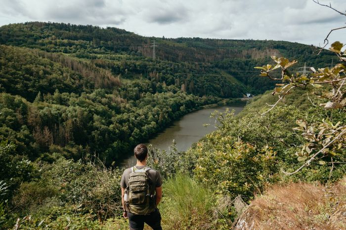 Een wandelaar met een rugzak staat op een uitzichtpunt langs wandelroute PU1 in Bivels. Op de achtergrond slingert de Sûre door het bos.