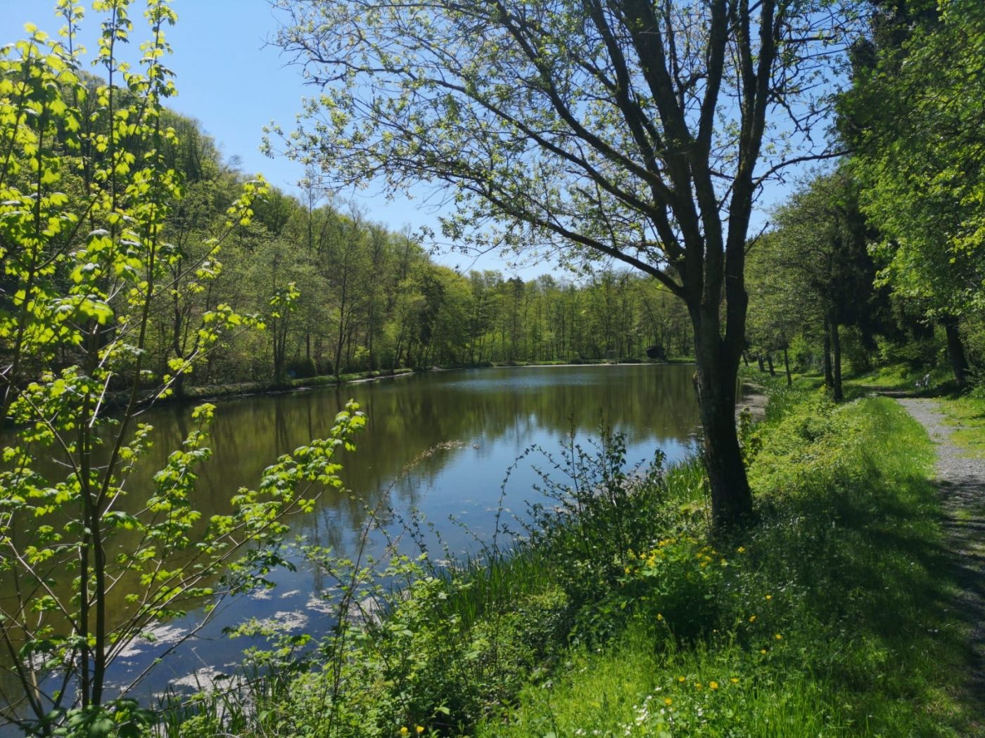 Camping Reilerweier