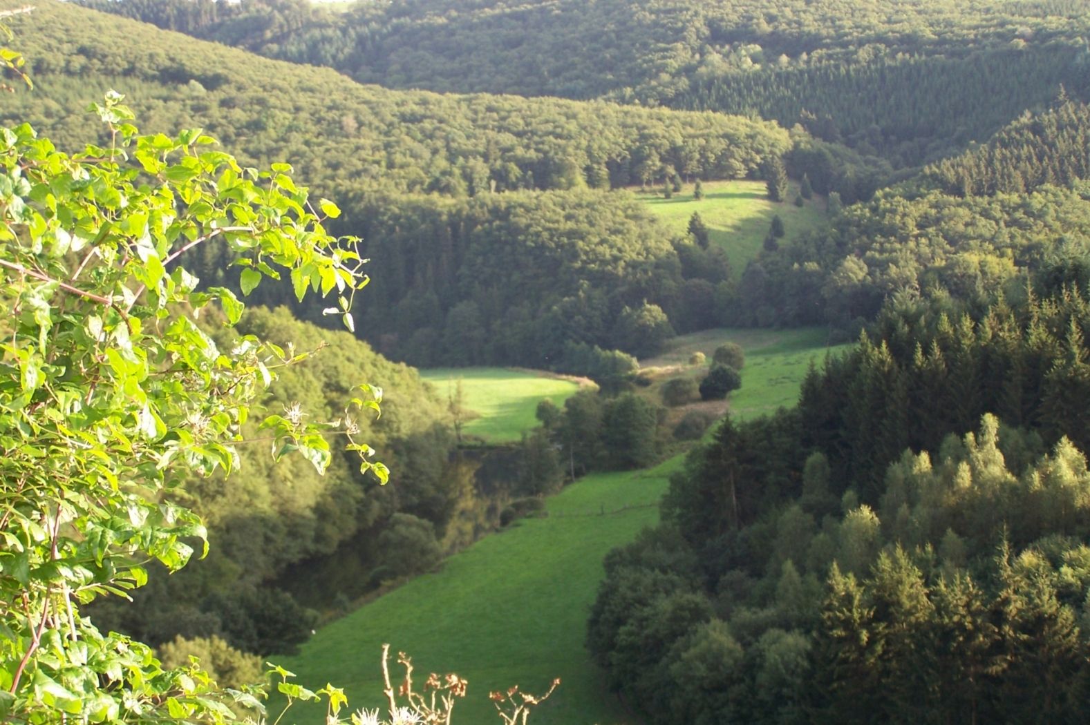 Camping Toodlermillen
