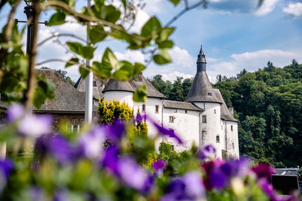 Une photo encadrée de fleurs avec le château de Clervaux en arrière-plan.