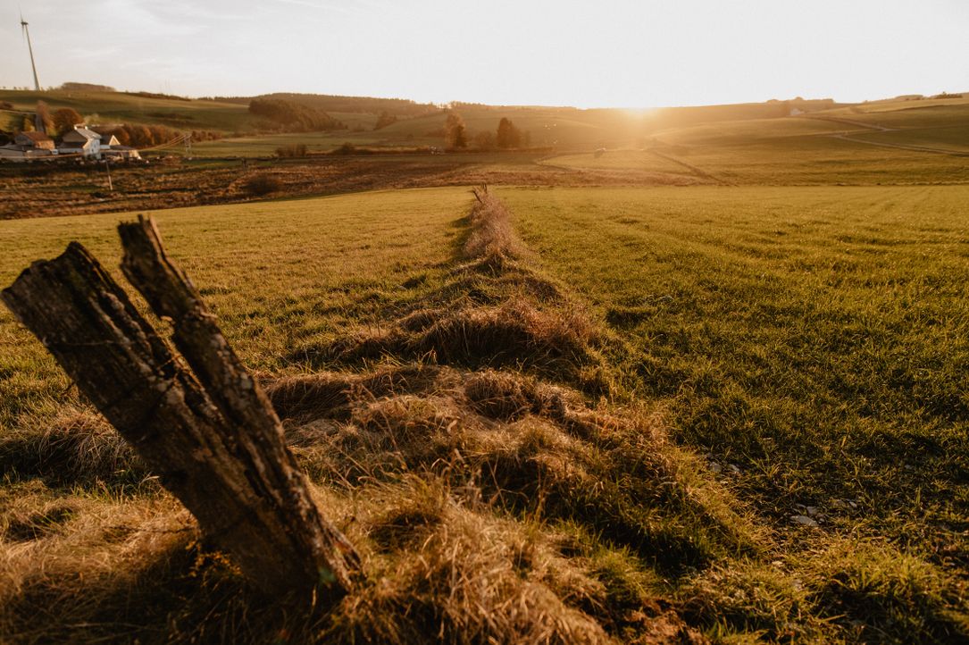 Ein Naturbild von weiten Feldern im Sonnenuntergang. Das Licht ist gedämpft und das Bild ist in warmen Farben gehalten.