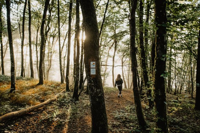 Woman hiking on the Éislek Pad Heinerscheid trail on a misty morning in Luxembourg. 
