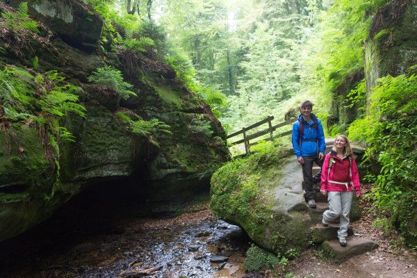 luxembourg nature and castle day tour