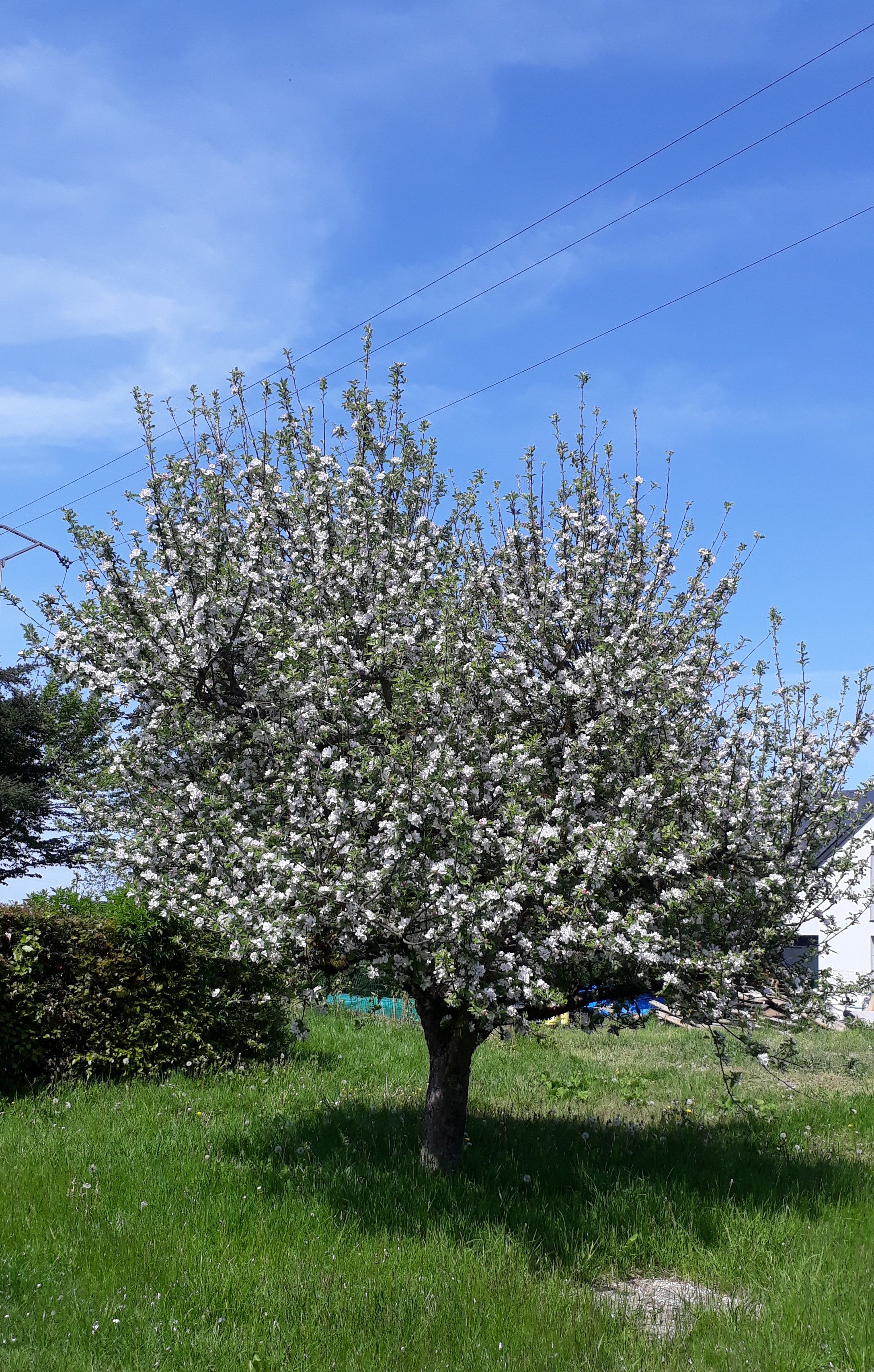 Ferienvilla "Franzen" in Derenbach