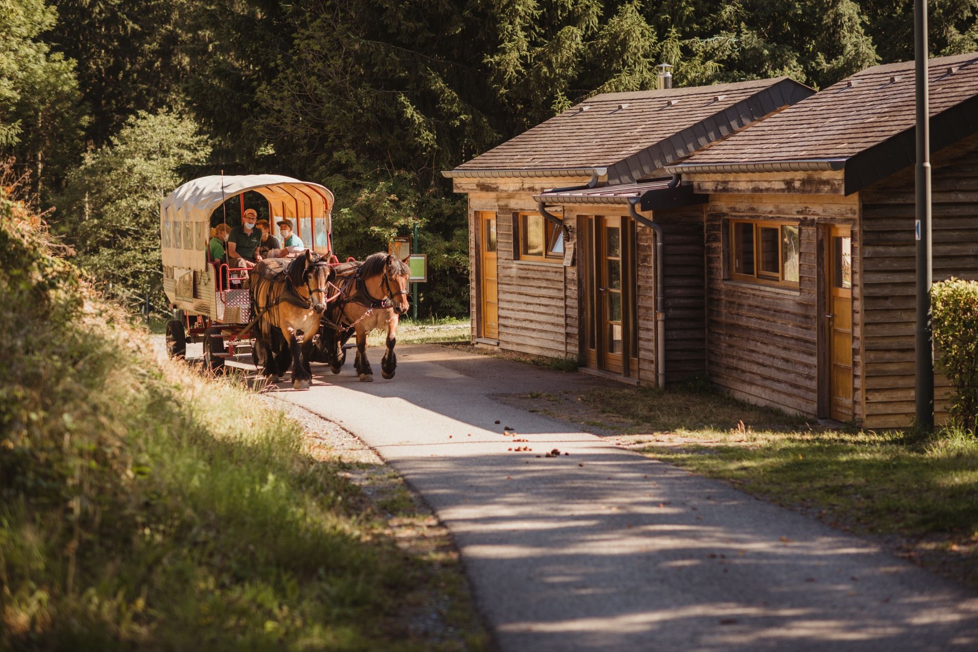 Tourist Center Robbesscheier Munshausen Clervaux Kutsche