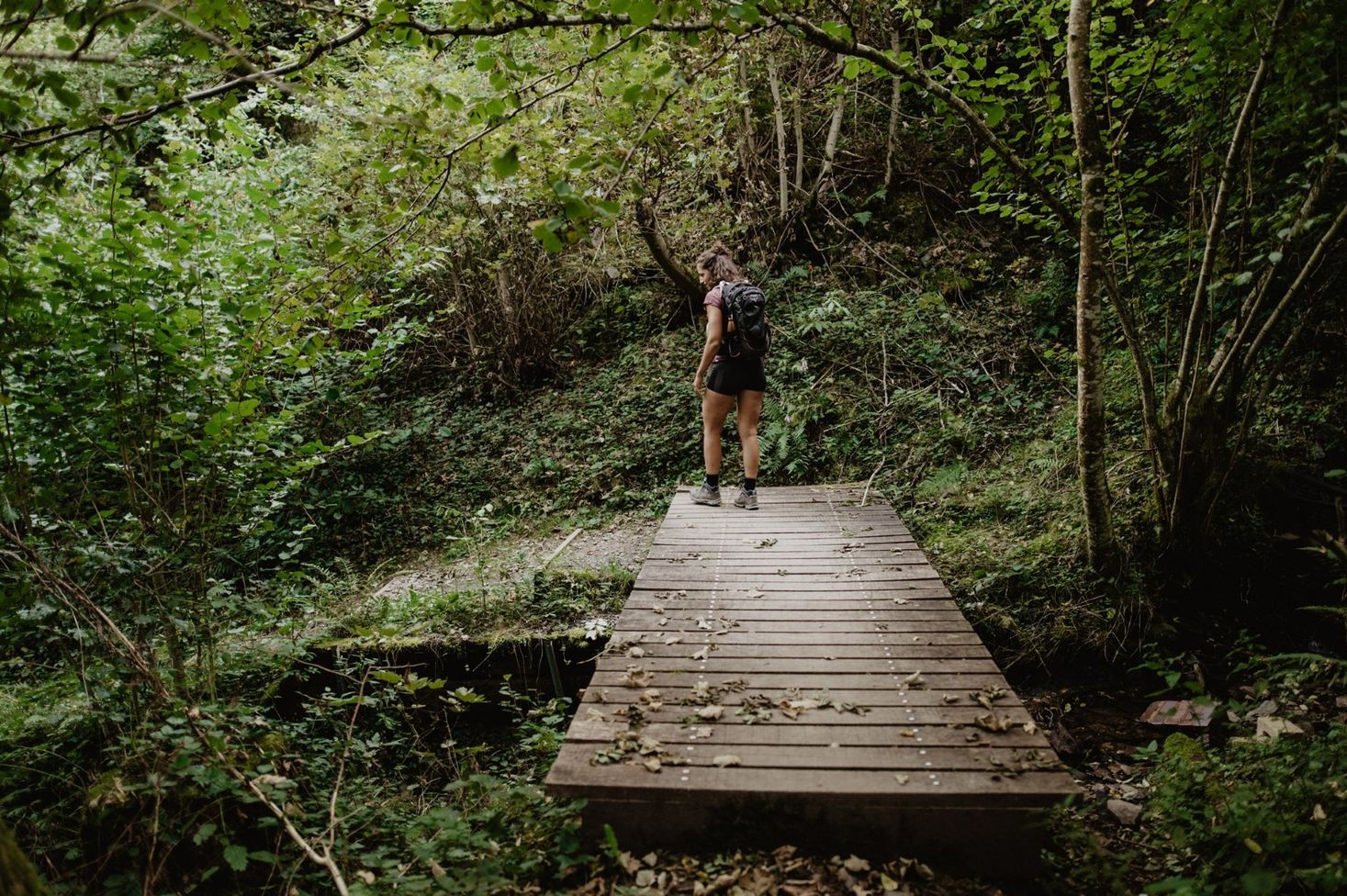 Une personne se tient à la fin d'un ponton dans une forêt verte et dense. Elle porte des vêtements de randonnée et l'atmosphère semble estivale et chaude.