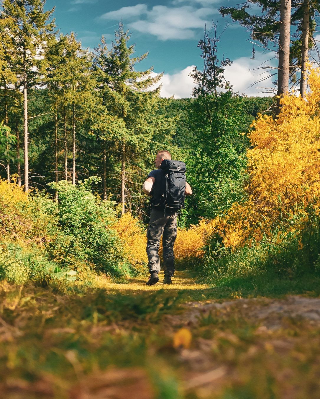Hiker walking along a forest path on the Lee Trail surrounded by dense vegetation and colorful foliage