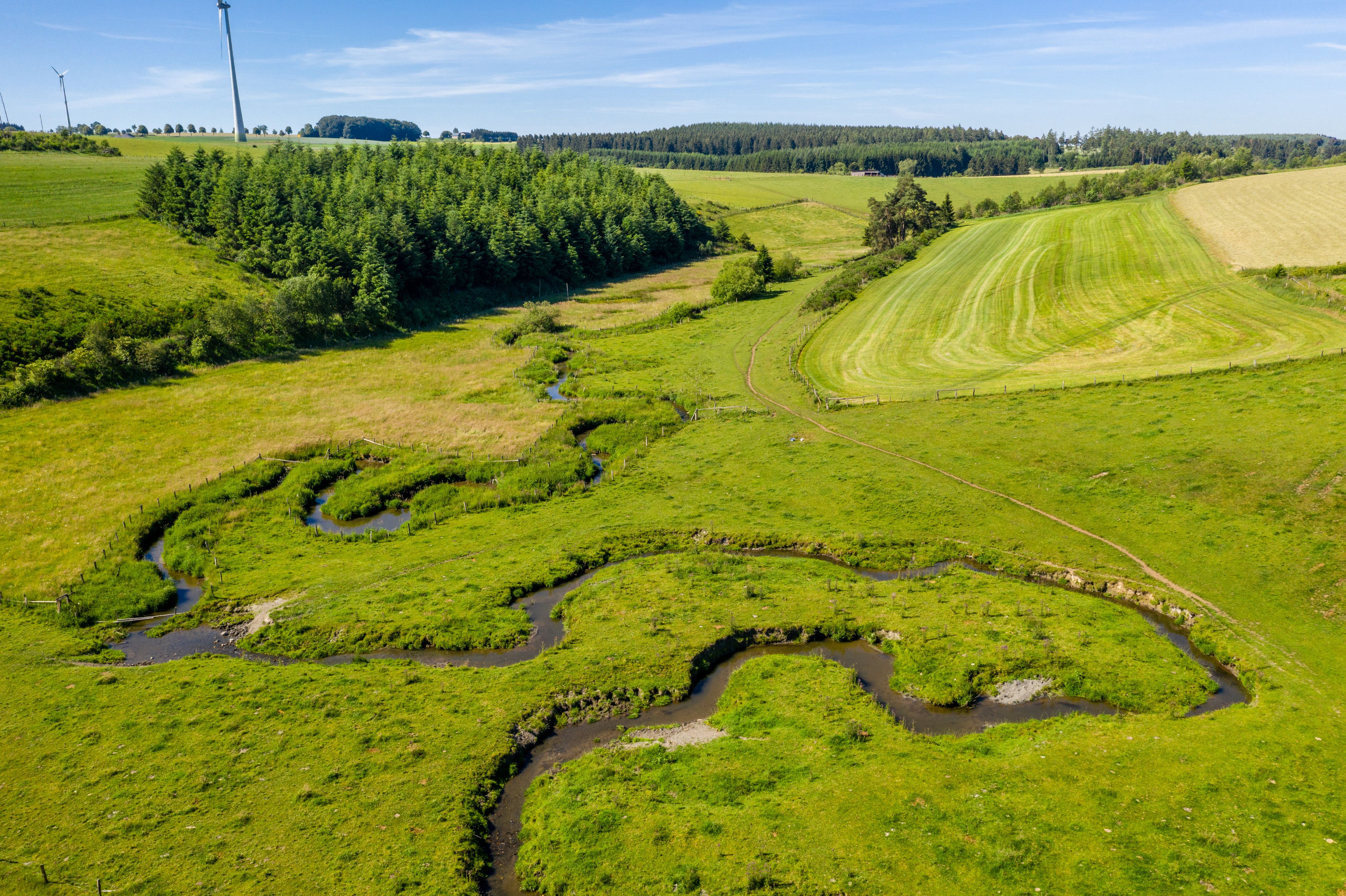 Éislek Pad Asselborn