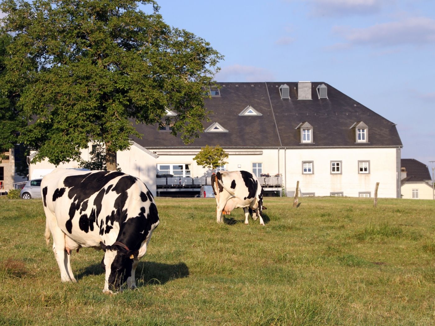 Hotel Cornelyshaff