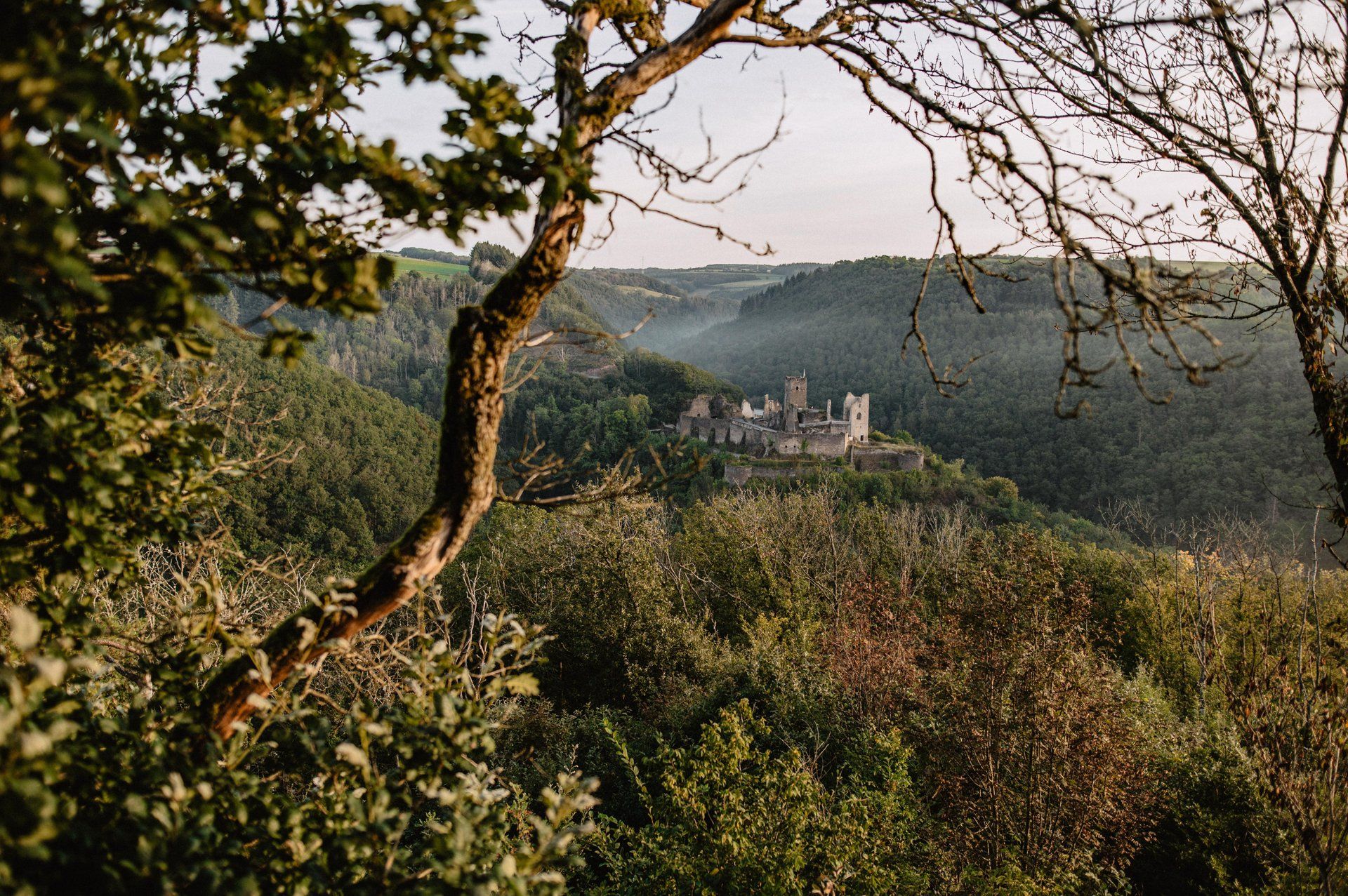 Autumn panorama of Brandenbourg Castle ruins surrounded by colorful forests in Éislek, Luxembourg.