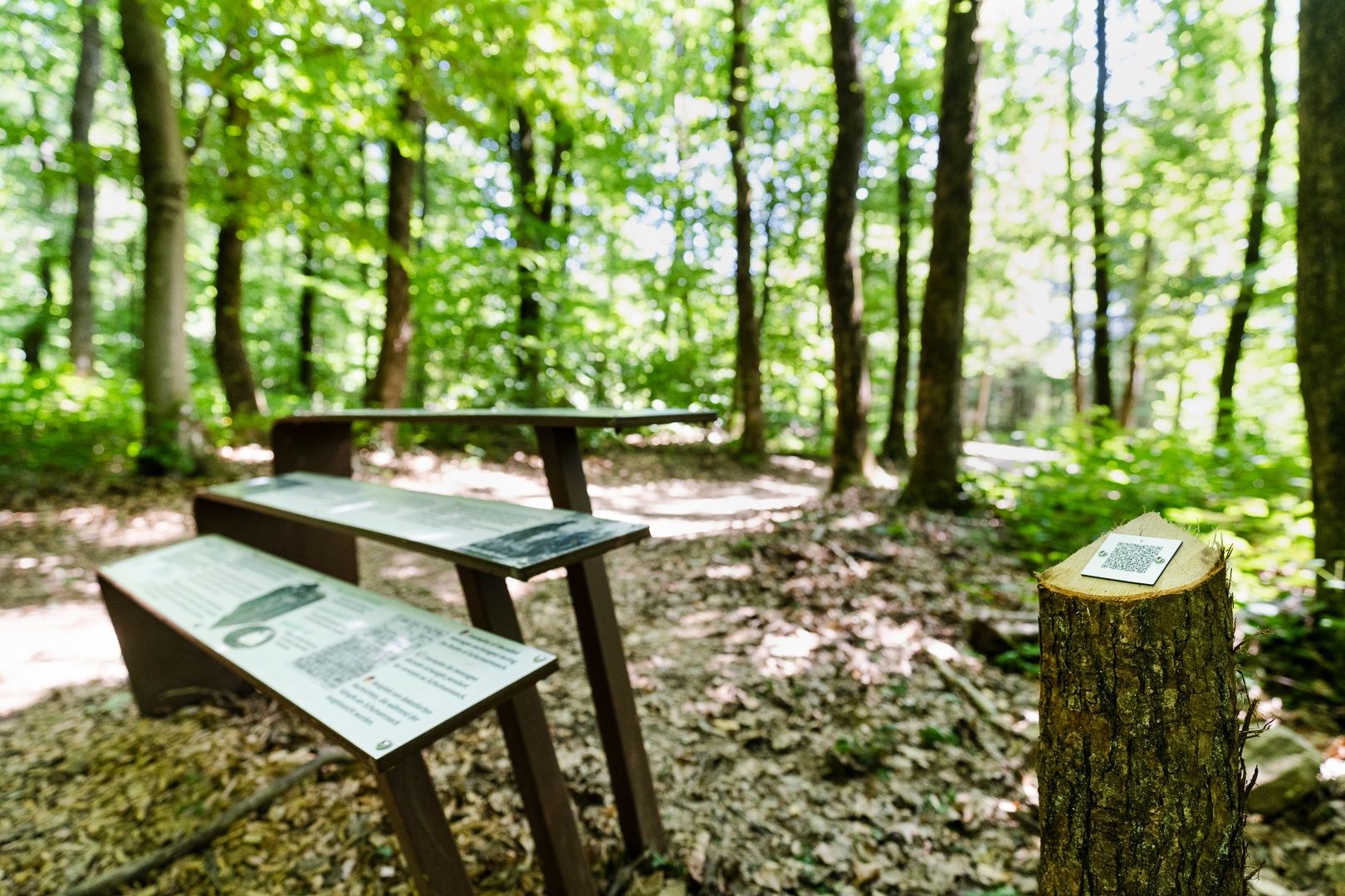 Schmann Eck Wanderung