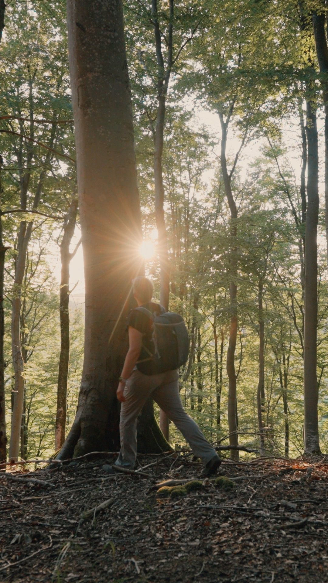 Bain de forêt