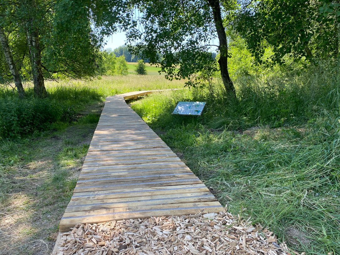 Ein Holzsteg führt durch die Wälder von Troisvierges entlang des Cornelysmillen Wegs.
