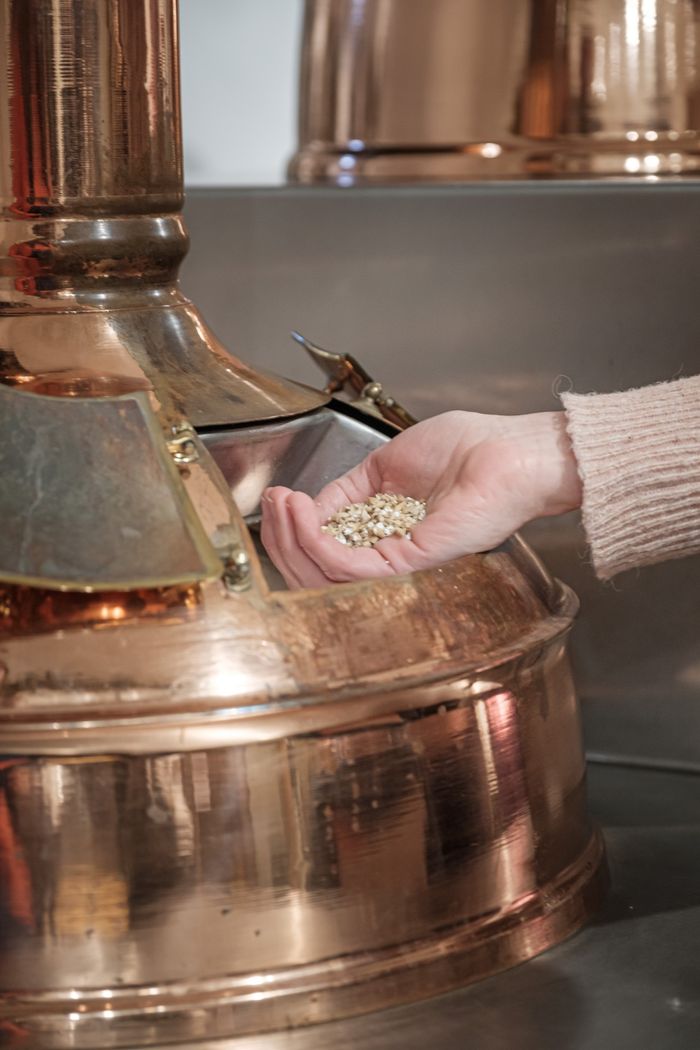 Hand houdt gerstekorrels naast een koperen ketel in het brouwerijmuseum in Wiltz