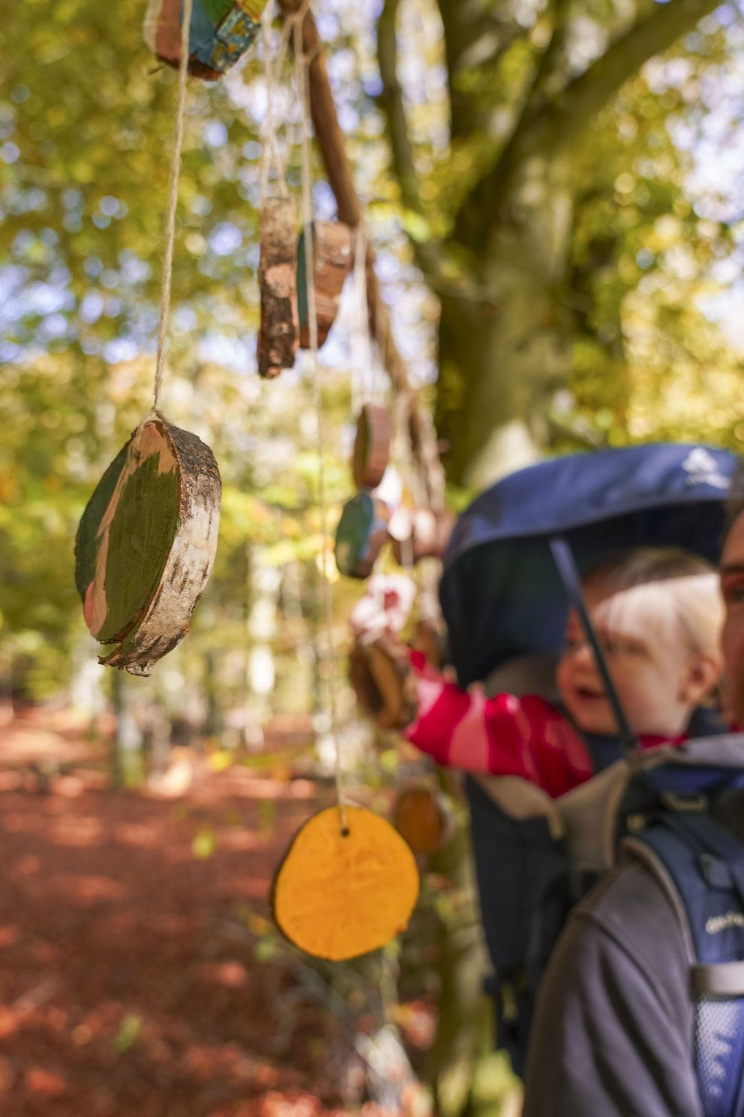 Kleinkind in einer Trage beim Wandern auf dem Insekten-Erlebnispfad Helzer Klaus in Hachiville im Éislek, Luxemburg. 