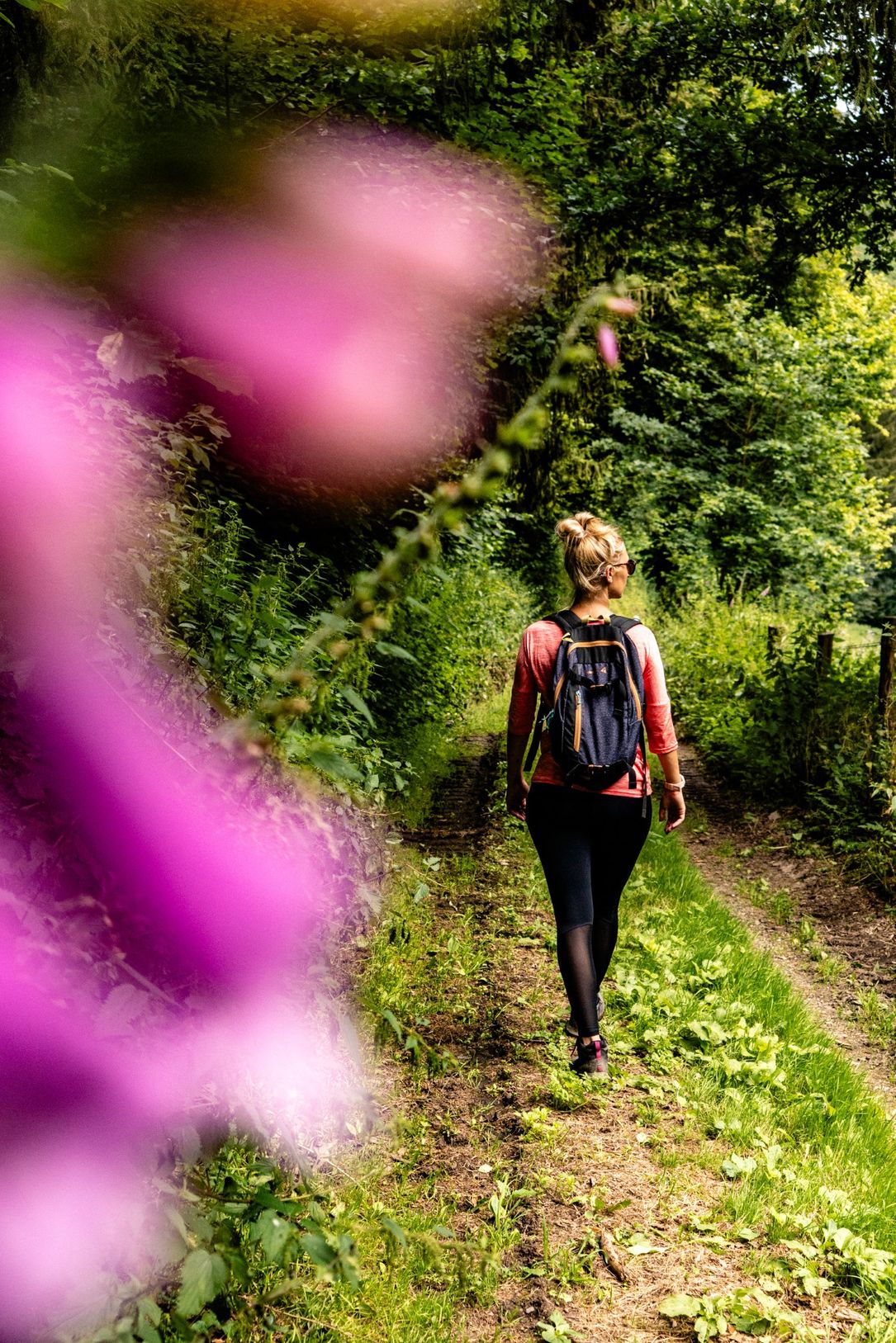 Une randonneuse, vue de dos, marche le long d’un sentier entouré de prairies vertes avec des fleurs violettes sur les côtés.