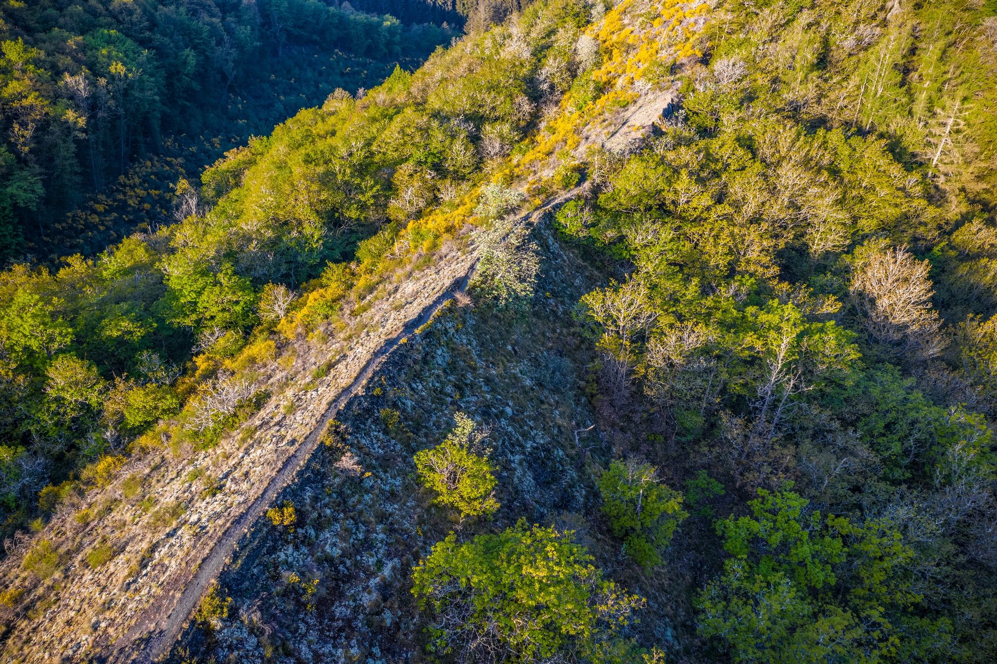 Molberlee Escapardenne Lee Trail Hoscheid