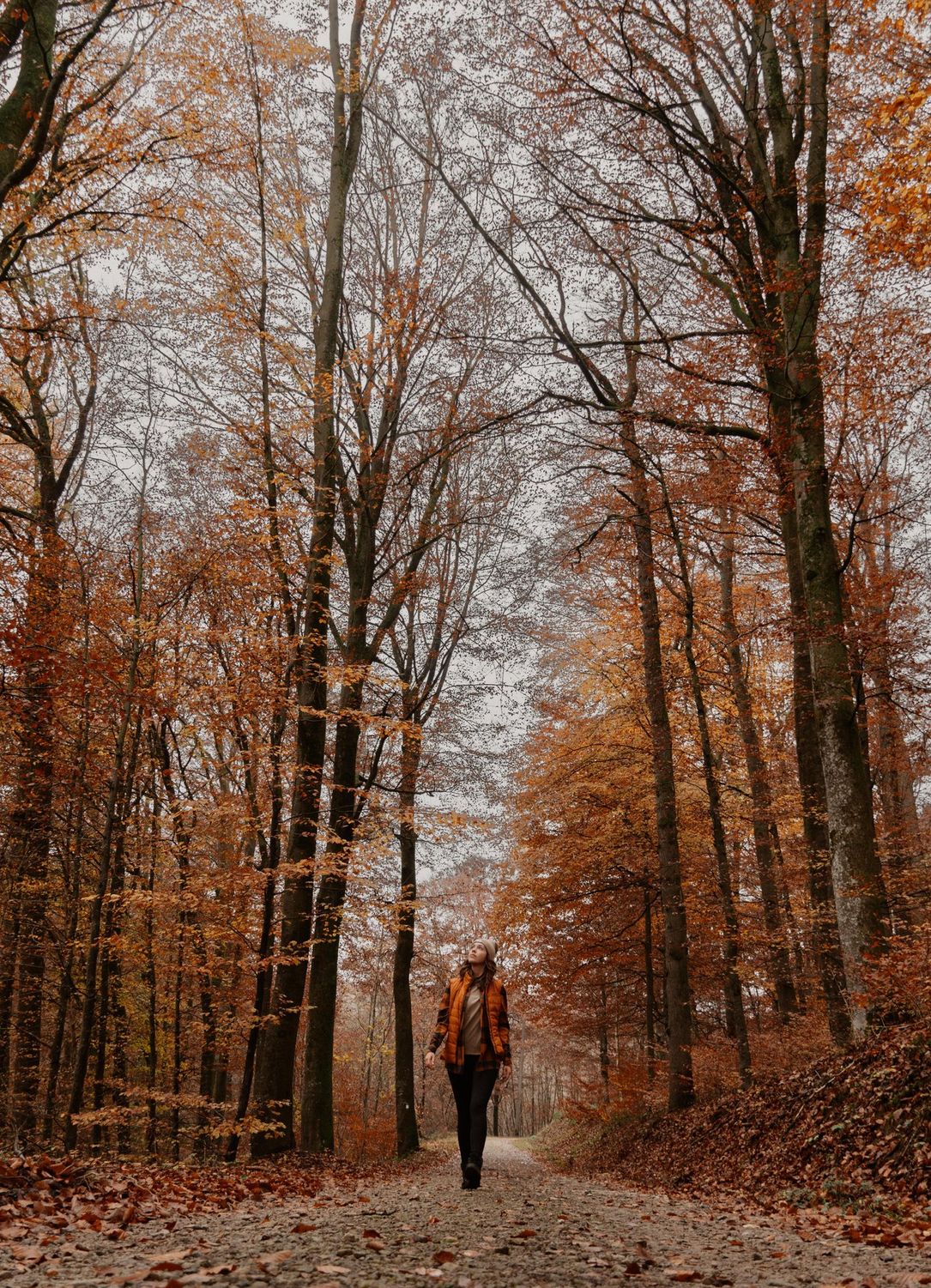 Woman hiking the Lee Trail through colorful autumn forests in Éislek, Luxembourg. 