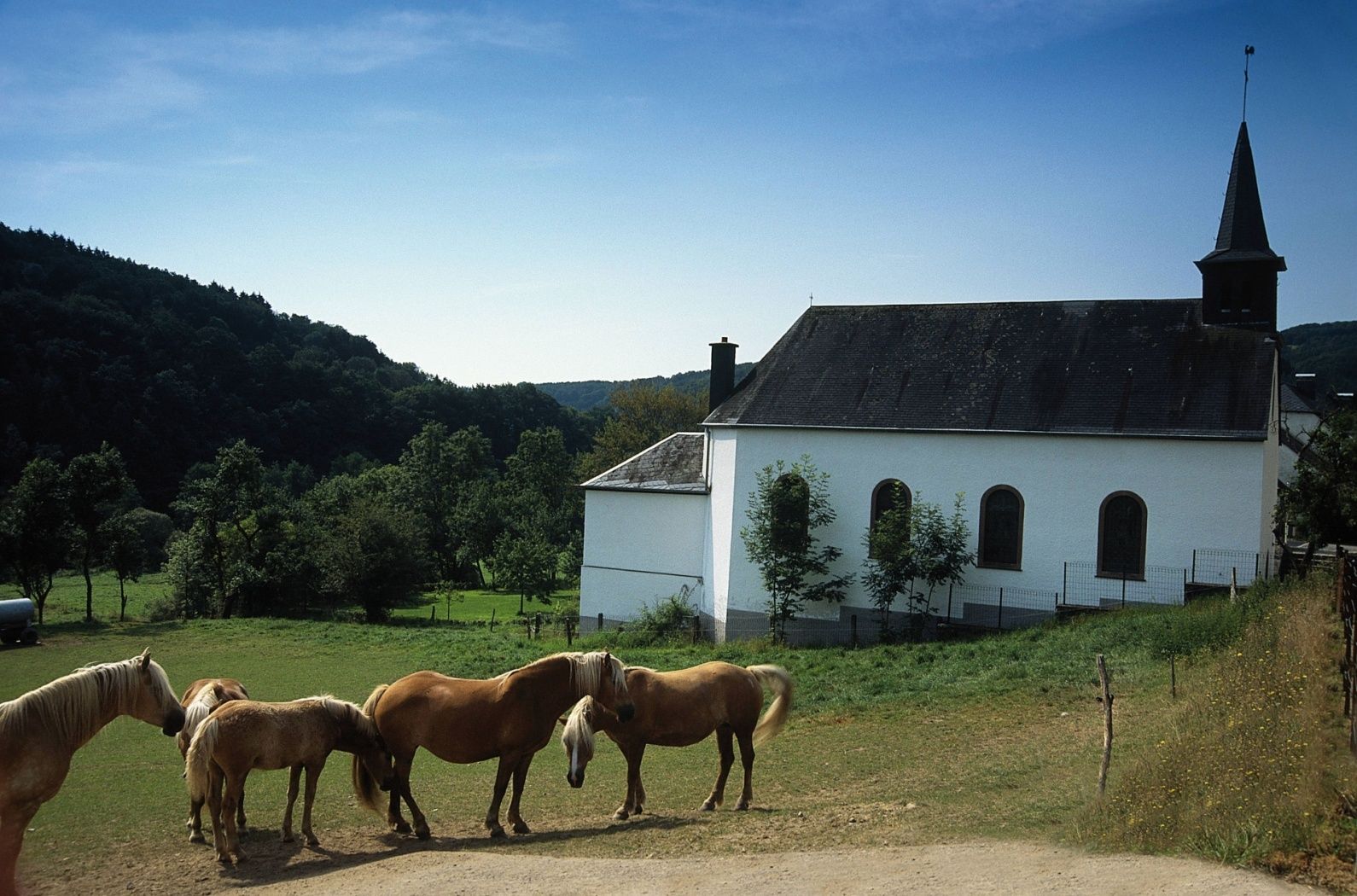 Cycle path des Ardennes (PC 22) Lellingen