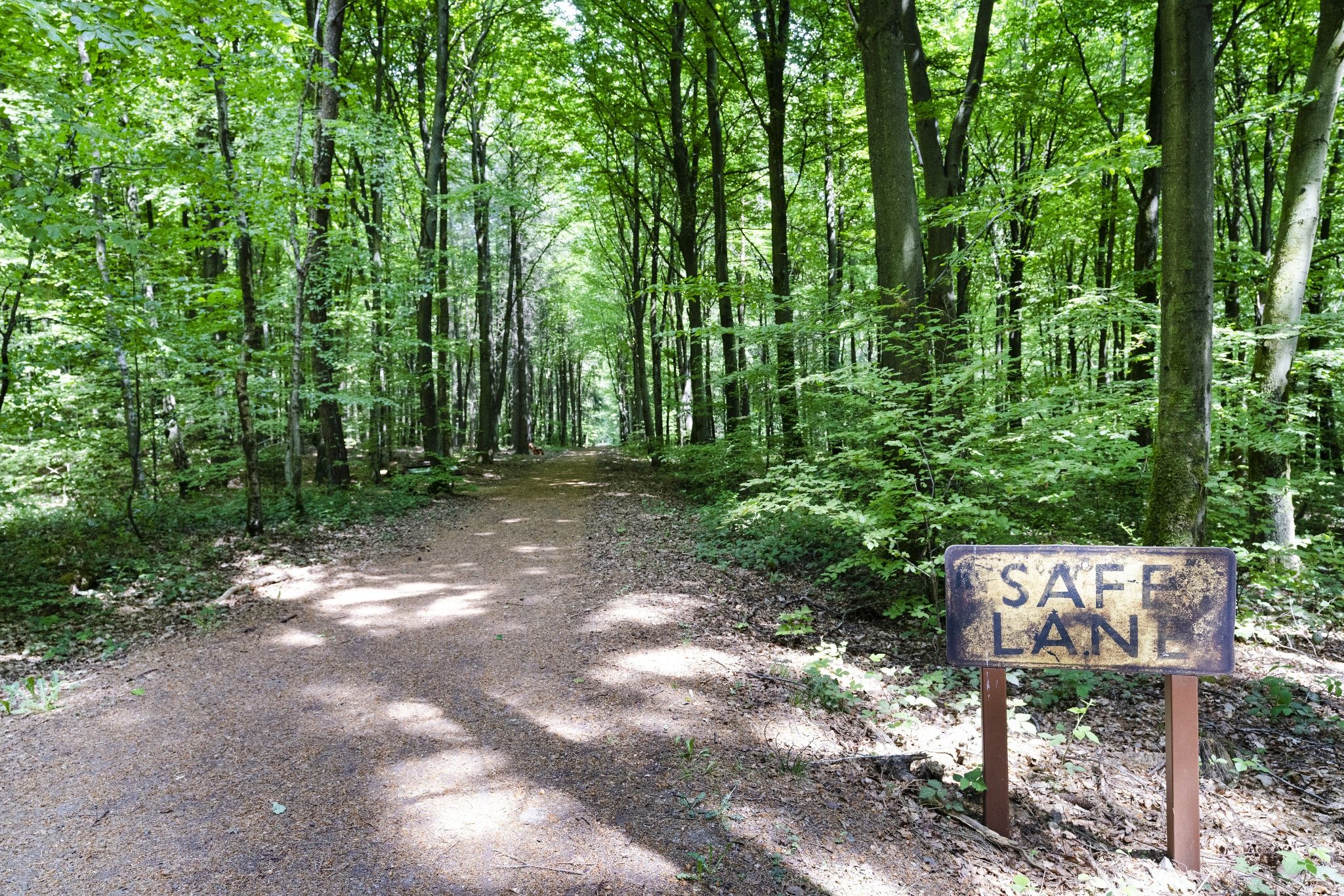 Schmann Eck Wanderung