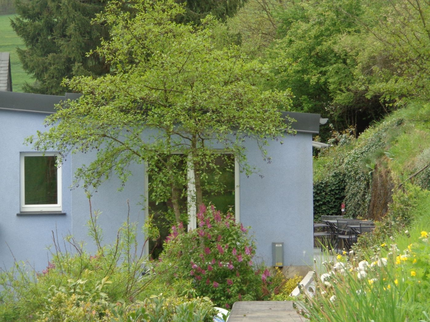 Apilah Cottage 1
