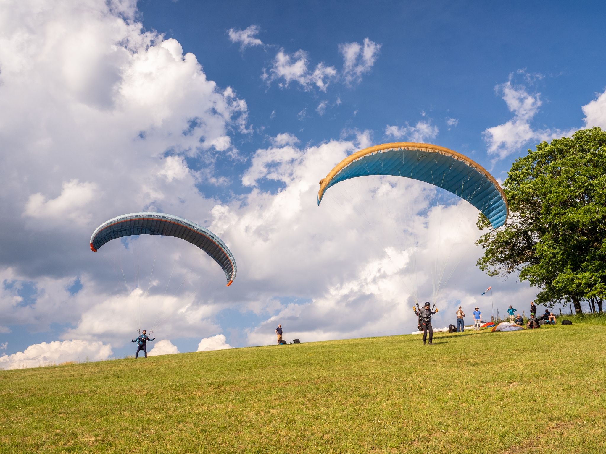 Paragliding Gringlee