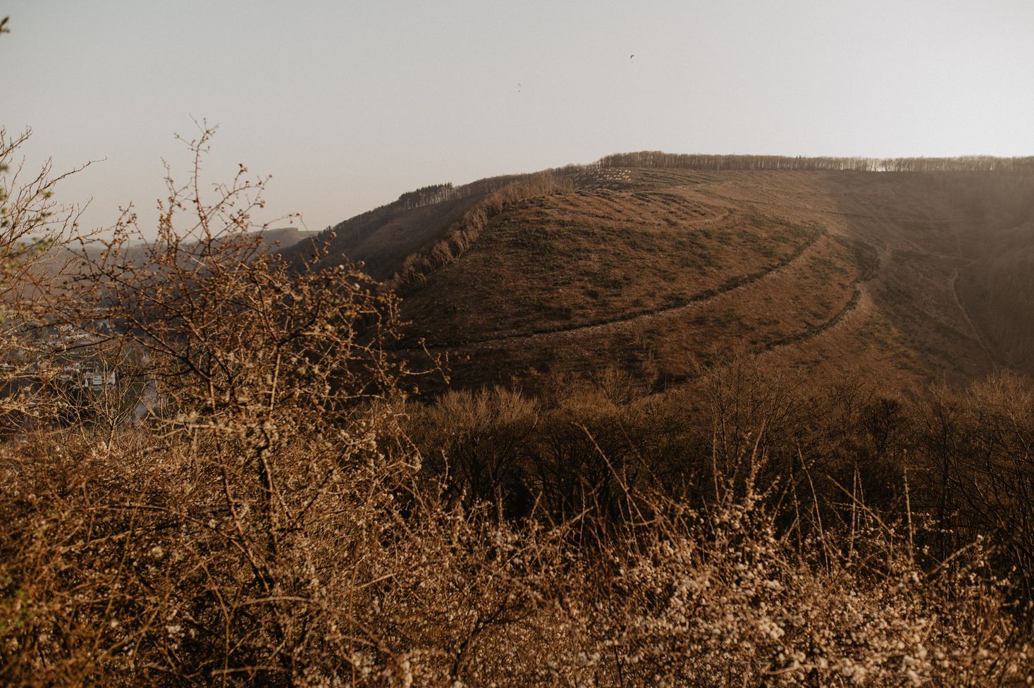 Ein Naturfoto von einem Aussichtspunkt, auf dem ein Berg und viel Gestrüpp zu sehen sind. Die Landschaft ist herbstlich und in der Dämmerung aufgenommen.