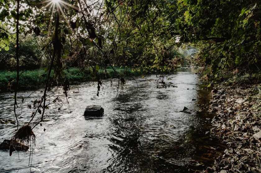 Opname van het Éislek Pad Kalborn, een rivier die door het bos slingert.