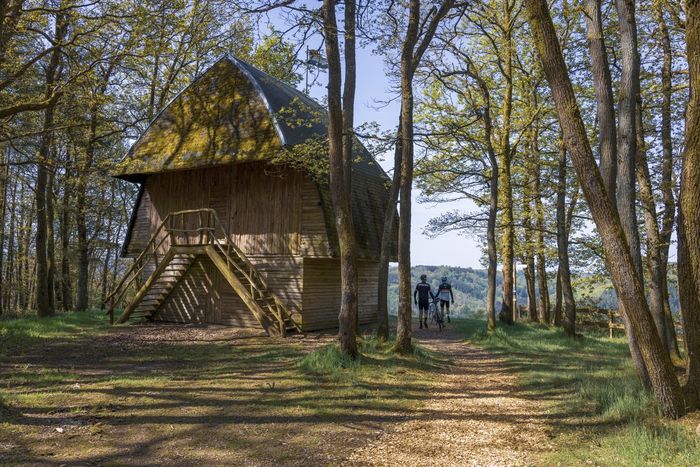 Deux cyclistes se tiennent avec leurs vélos dans la forêt au point de vue Houfels à Boulaide et regardent au loin.