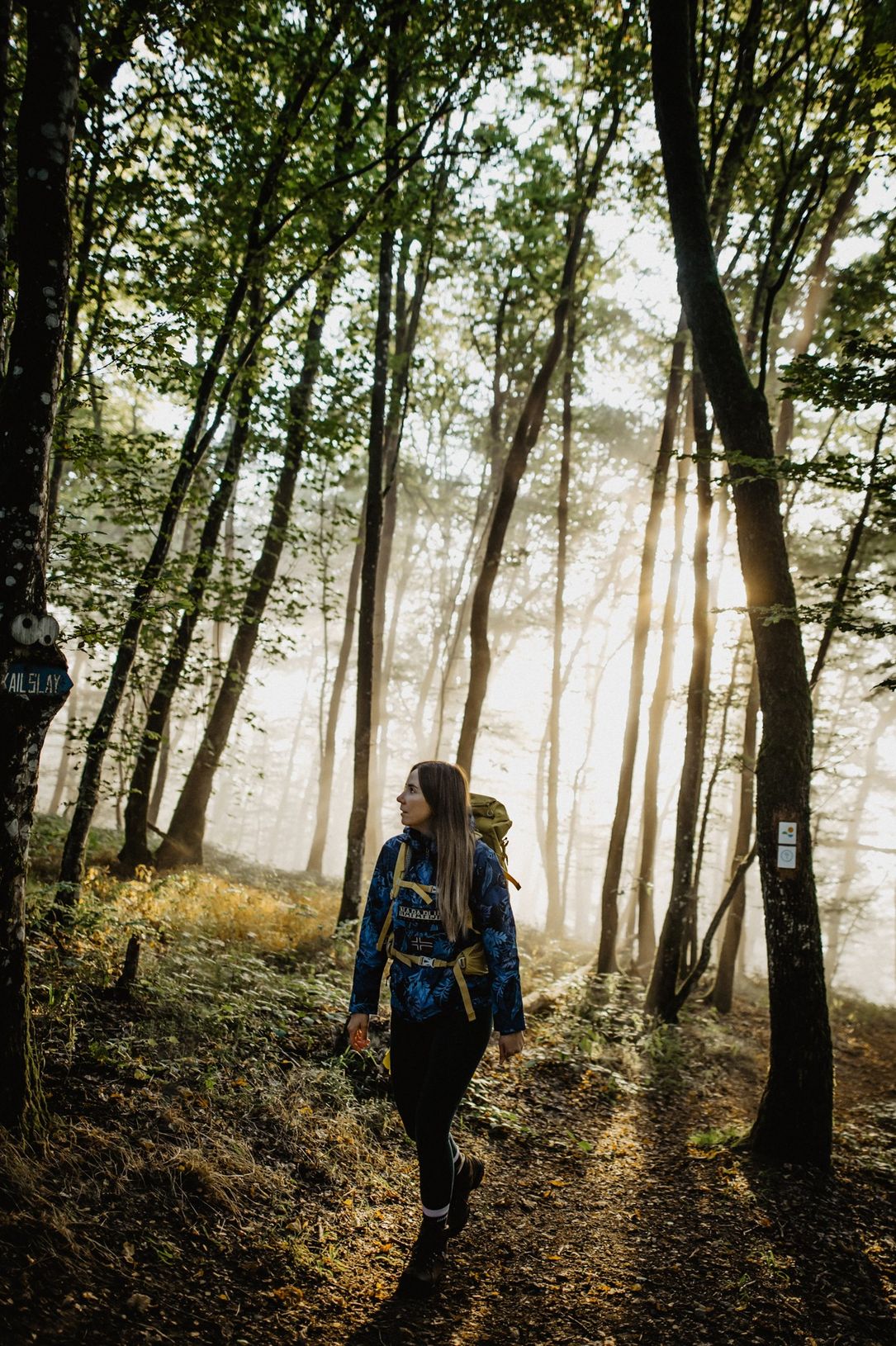 Hiking on Éislek Pad Kalborn