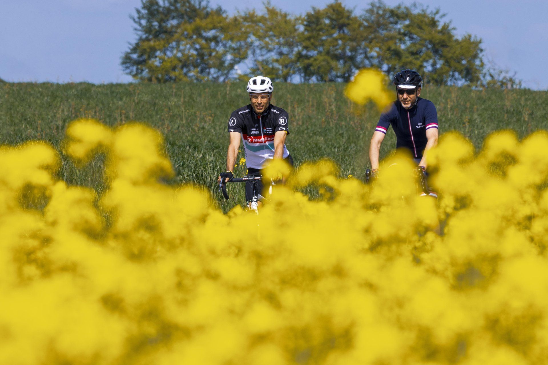 Zwei Radfahrer fahren durch ein Feld mit gelben Blumen bei Bourscheid