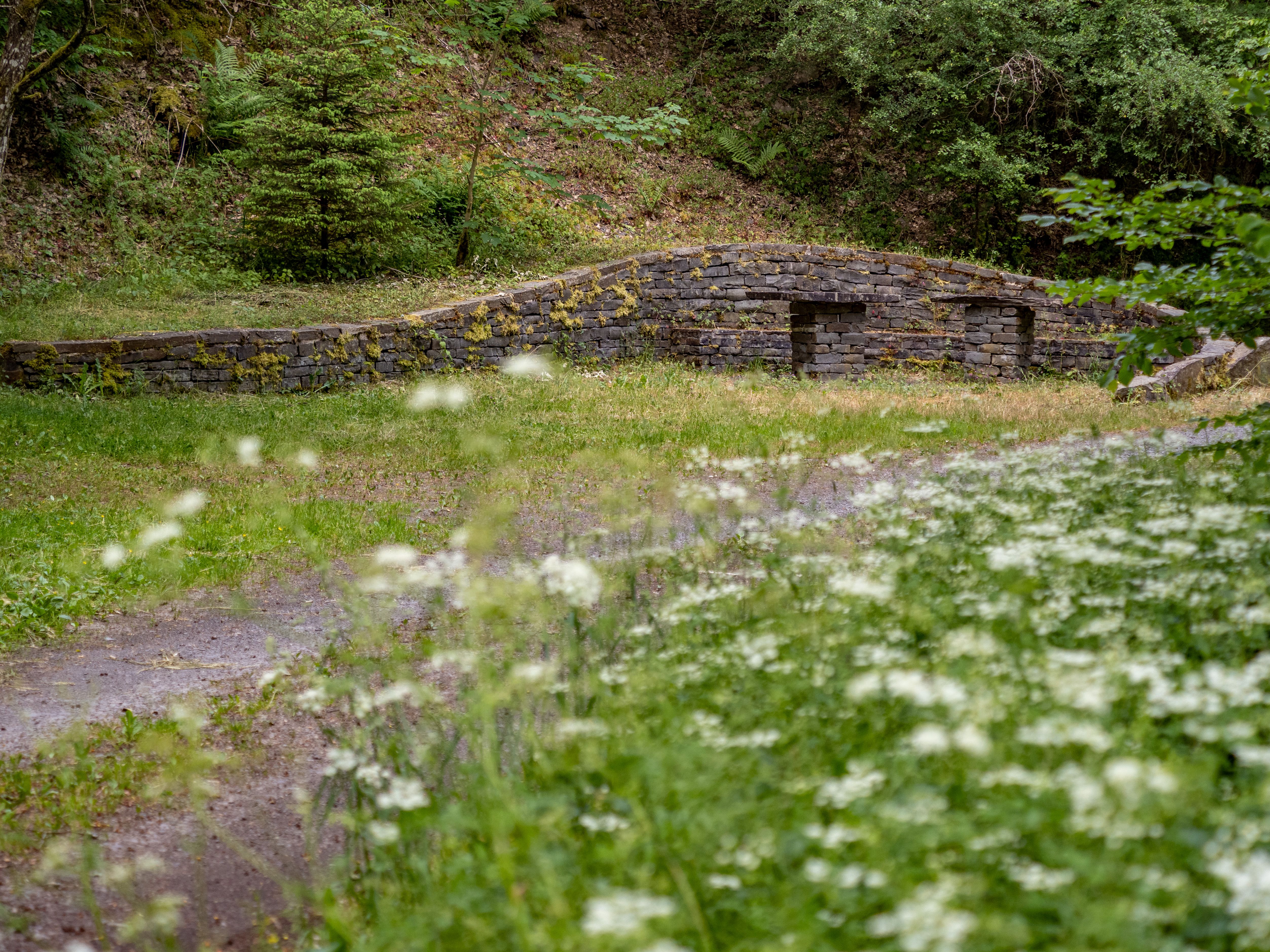 Éislek Pad Lellingen