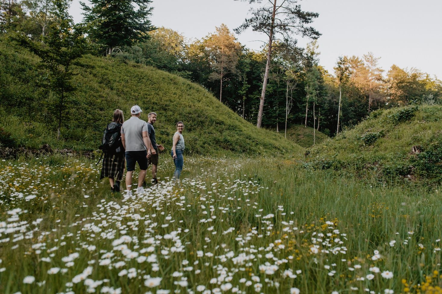 A group walks across a flower-covered meadow along a hiking trail toward the forest.