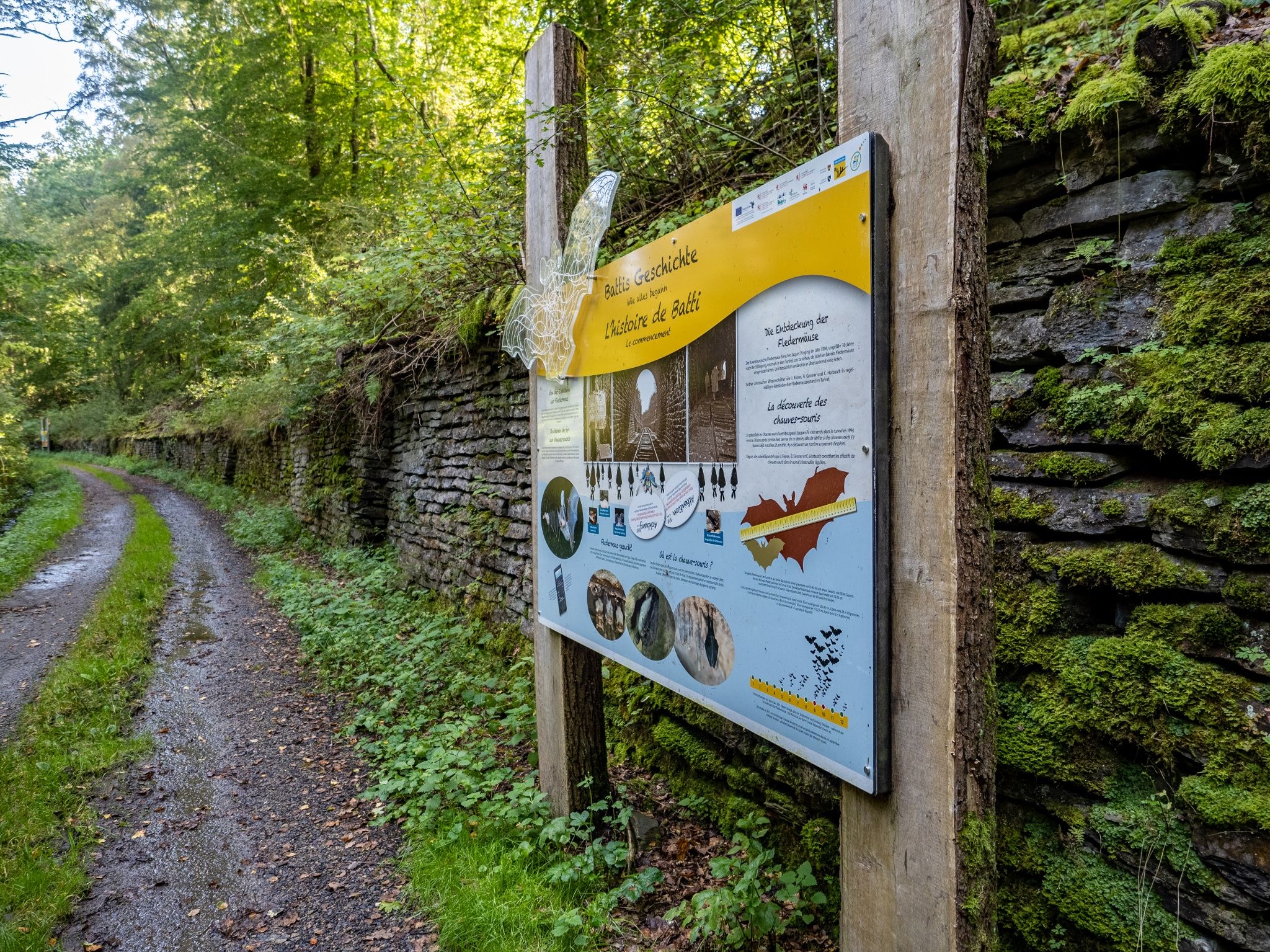 Erlebnispfad Fledermaustunnel