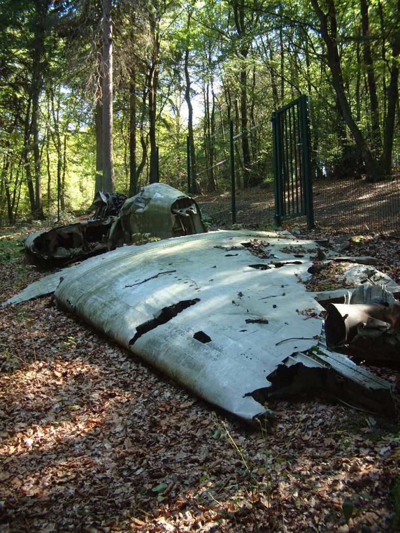 maulusmuhle flugzeug