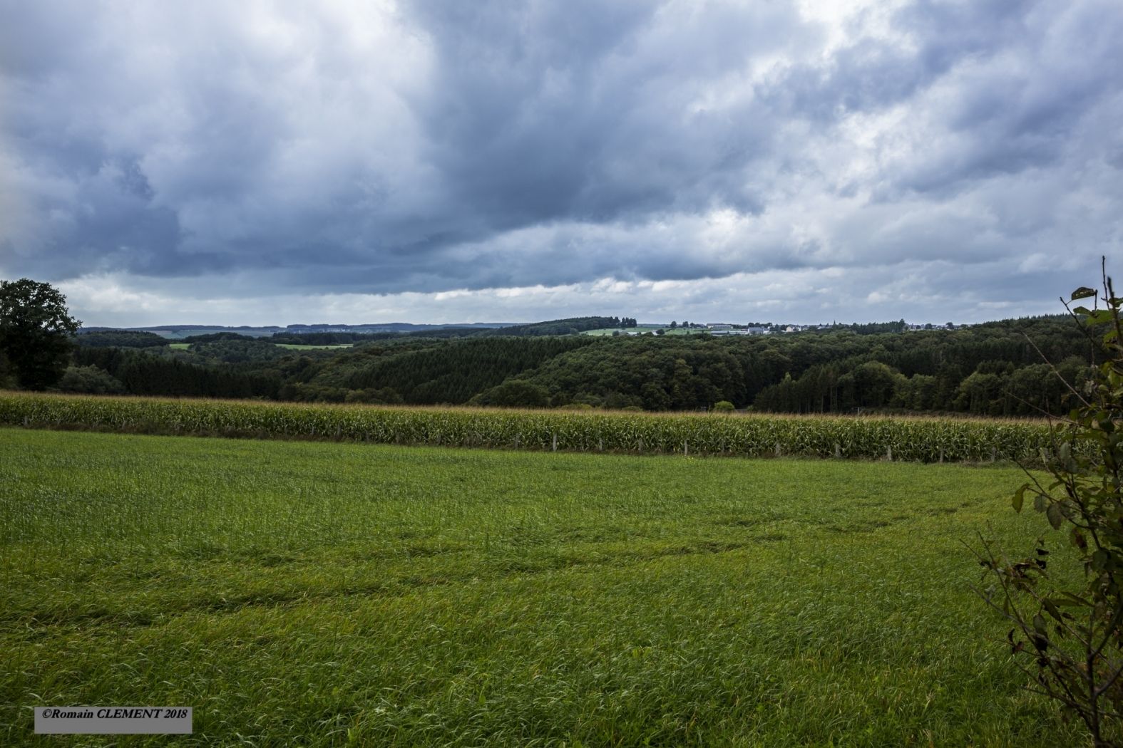 Beim Laangfeld