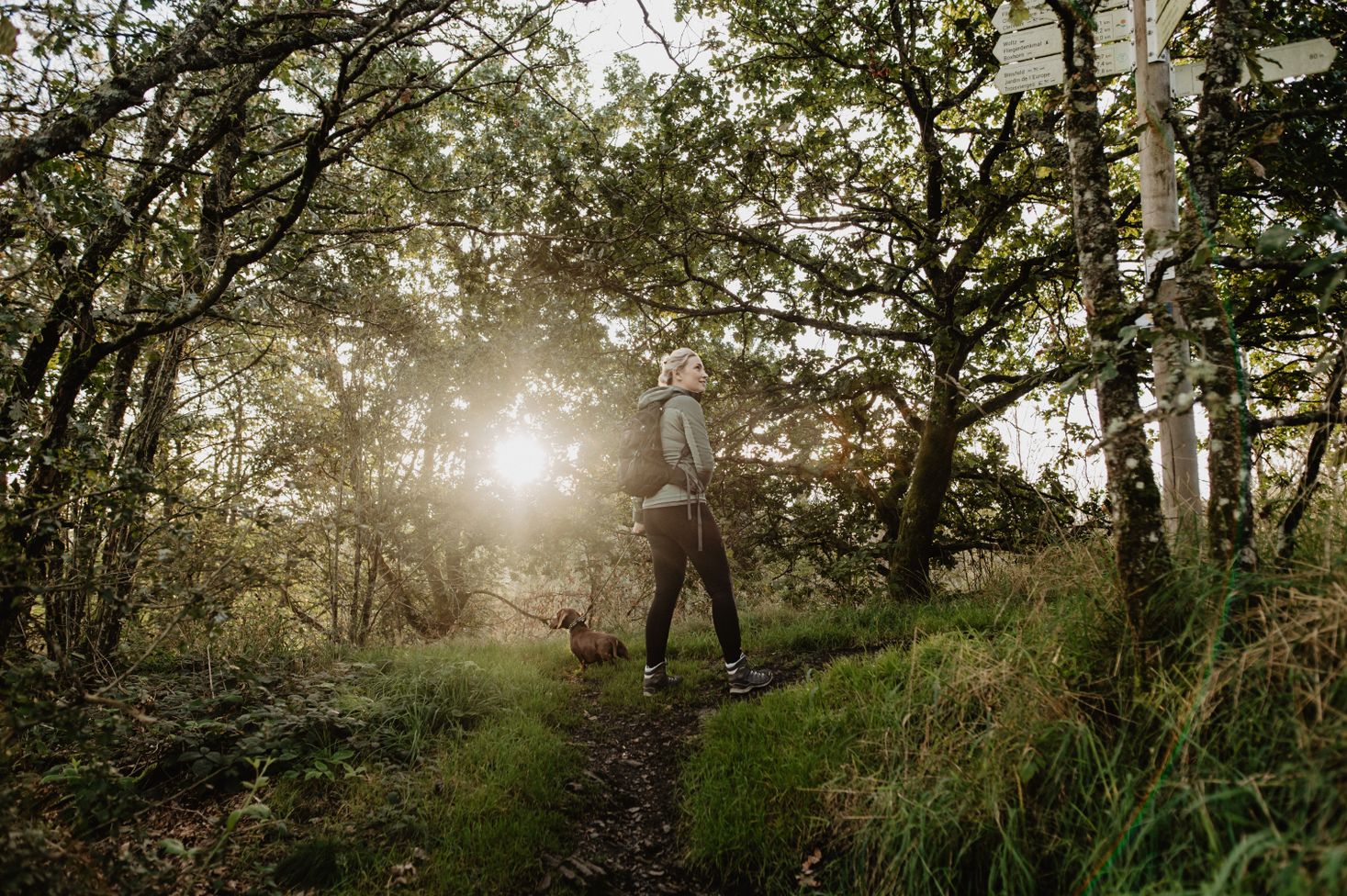 Une femme se promène avec son chien sur un sentier forestier au coucher du soleil.