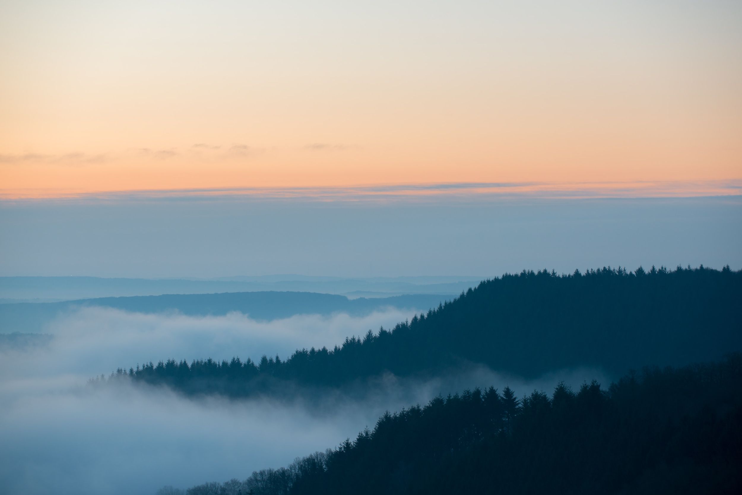 Bourscheid